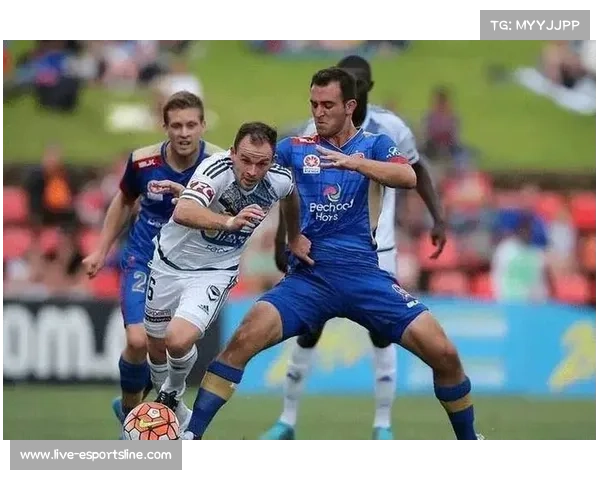 桑德兰主场逆袭埃弗顿 黑猫力克太妃糖迎胜利